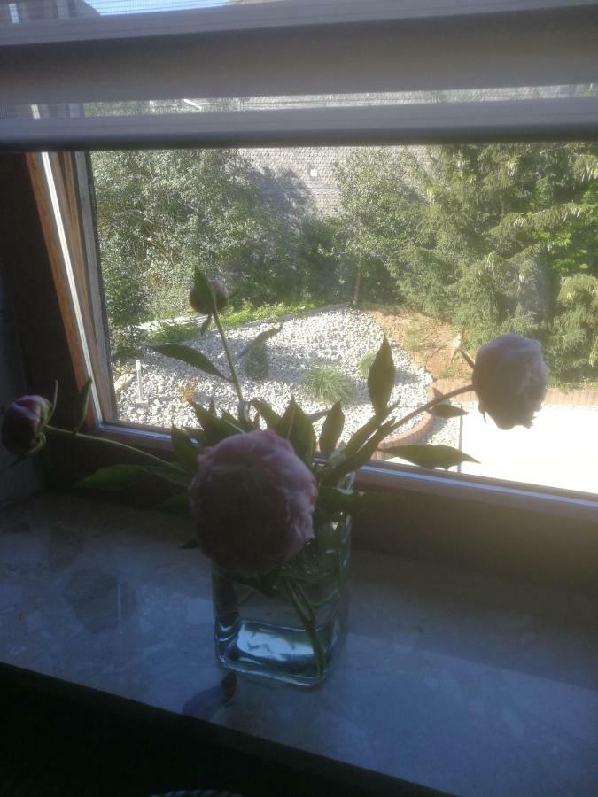 Algenrodt Apartment *